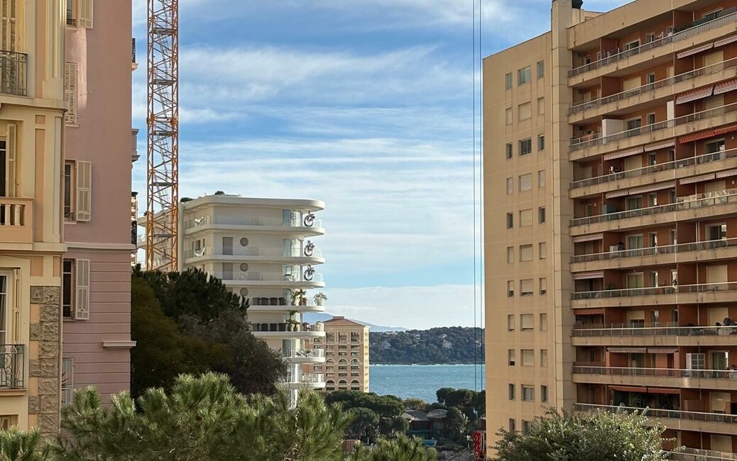 VILLA ARIANE - La Rousse - Nuovo Trilocale, La Rousse - Saint Roman, Monaco - 3