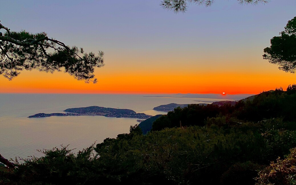 EZE - Villa Requiring Renovation - Sea & Saint-Jean-Cap-Ferrat - 5