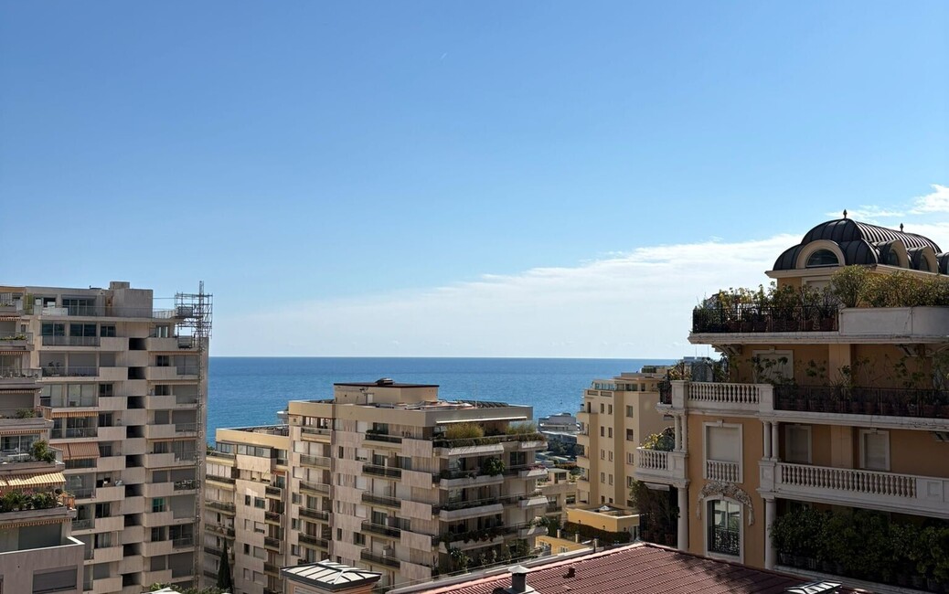 CHÂTEAU PÉRIGORD II - Renovated & Furnished 3-Bedroom Apartment, La Rousse - Saint Roman, Monaco - 2