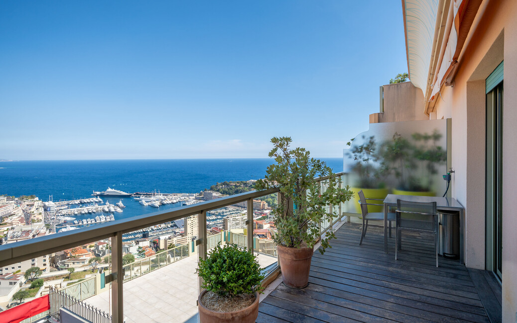 VILLA LES PINS - Jardin Exotique - Attico Duplex con Vista Panor, Moneghetti, Monaco - 21