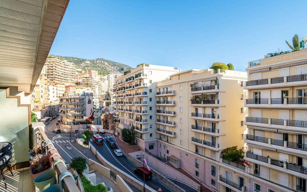 LE CASTEL - One-Bedroom Apartment with Mixed Use - Ideal investm, Jardin Exotique, Monaco - 10