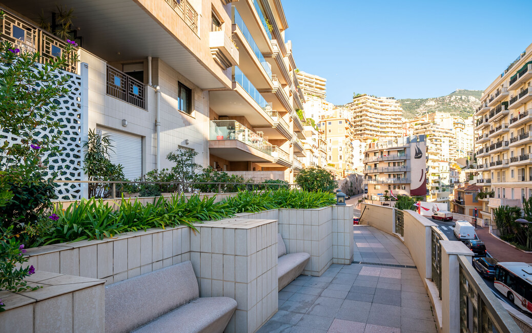 LE CASTEL - One-Bedroom Apartment with Mixed Use - Ideal investm, Jardin Exotique, Monaco - 13