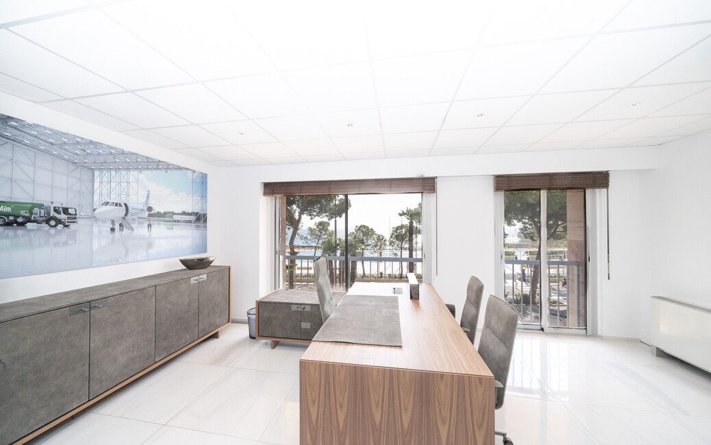 LARVOTTO - Grands Bureaux - Vue Mer, Larvotto, Monaco - 10