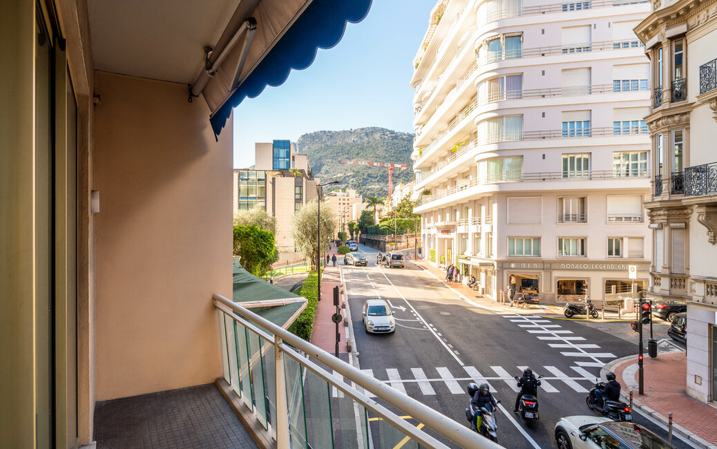 Monte Carlo - Le Roqueville - Renovated 4-room Apartment - 9