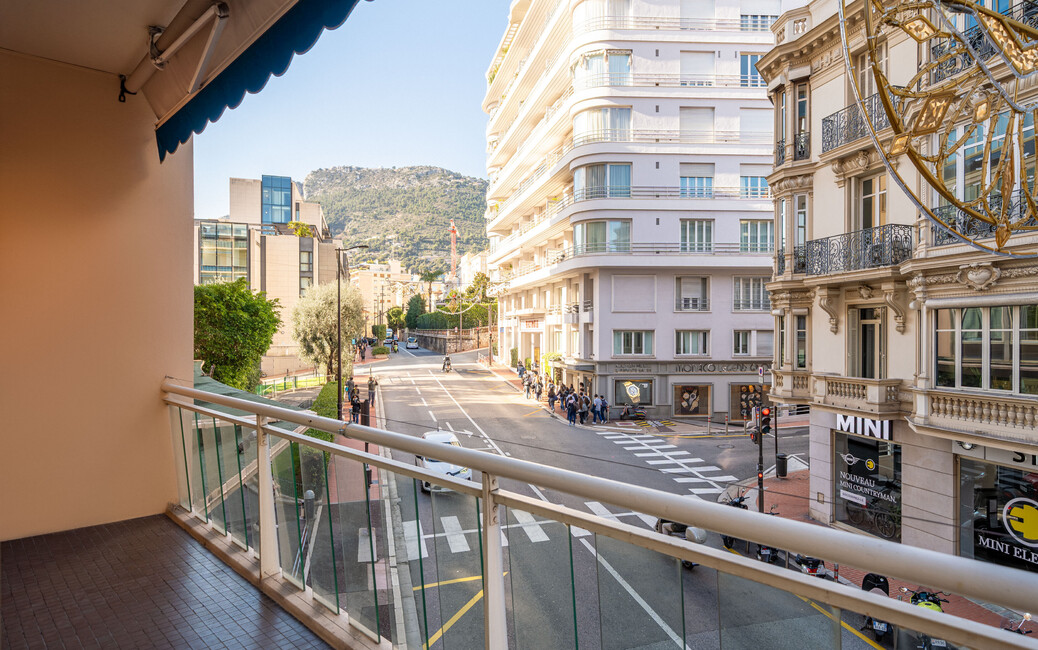 ROQUEVILLE - 4 locali Ristrutturato - Resa del 2,9 %, Monte-Carlo, Monaco - 15