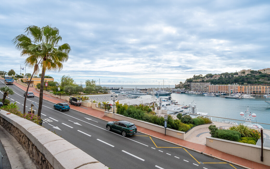 VILLA MINERVE - Monte Carlo - 6-Room Apartment, Monte-Carlo, Monaco - 14