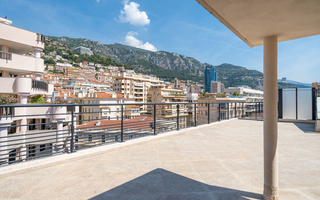 WINTER PALACE - Carré d'Or - Duplex Penthouse à Renover, Monte-Carlo, Monaco - 16