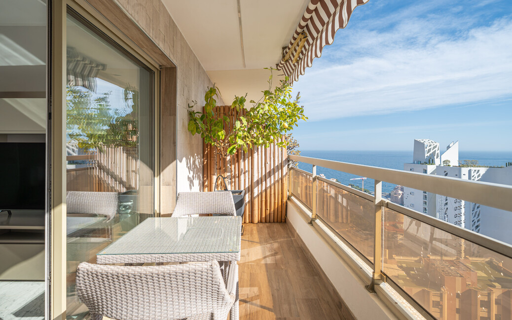 LIGURES - Jardin Exotique - Studio Rénové Vue Mer, Jardin Exotique, Monaco - 7