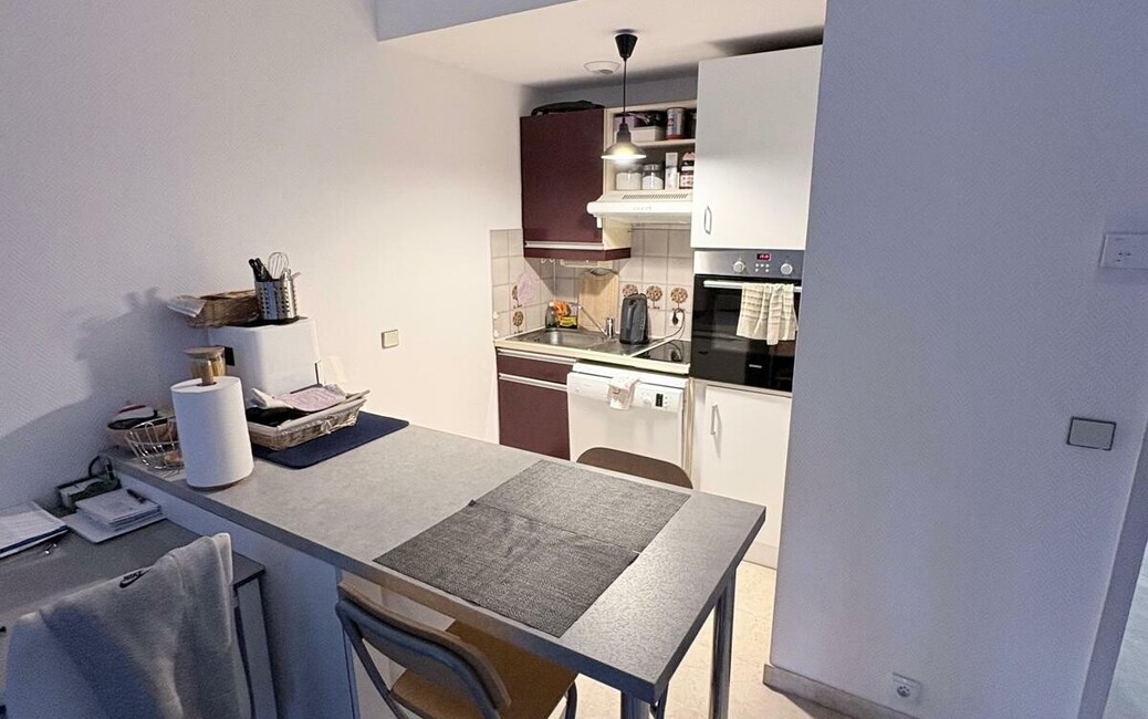 MONTE CARLO SUN - La Rousse - Studio Vue sur les jardins, La Rousse - Saint Roman, Monaco - 3