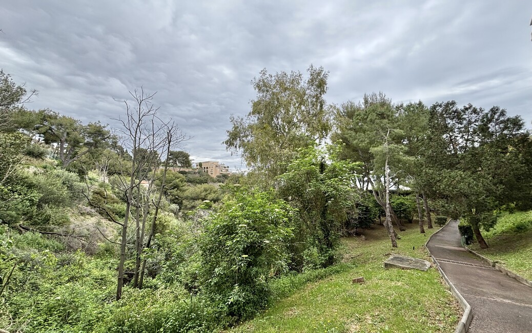 RÉSIDENCE SAINT-MARTIN - Studio Usage Mixte avec Vue sur le Parc - Cap Martin - 8