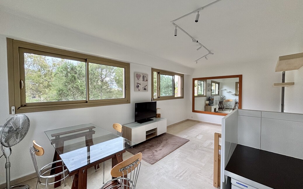 RÉSIDENCE SAINT-MARTIN - Studio Usage Mixte avec Vue sur le Parc - Cap Martin - 1