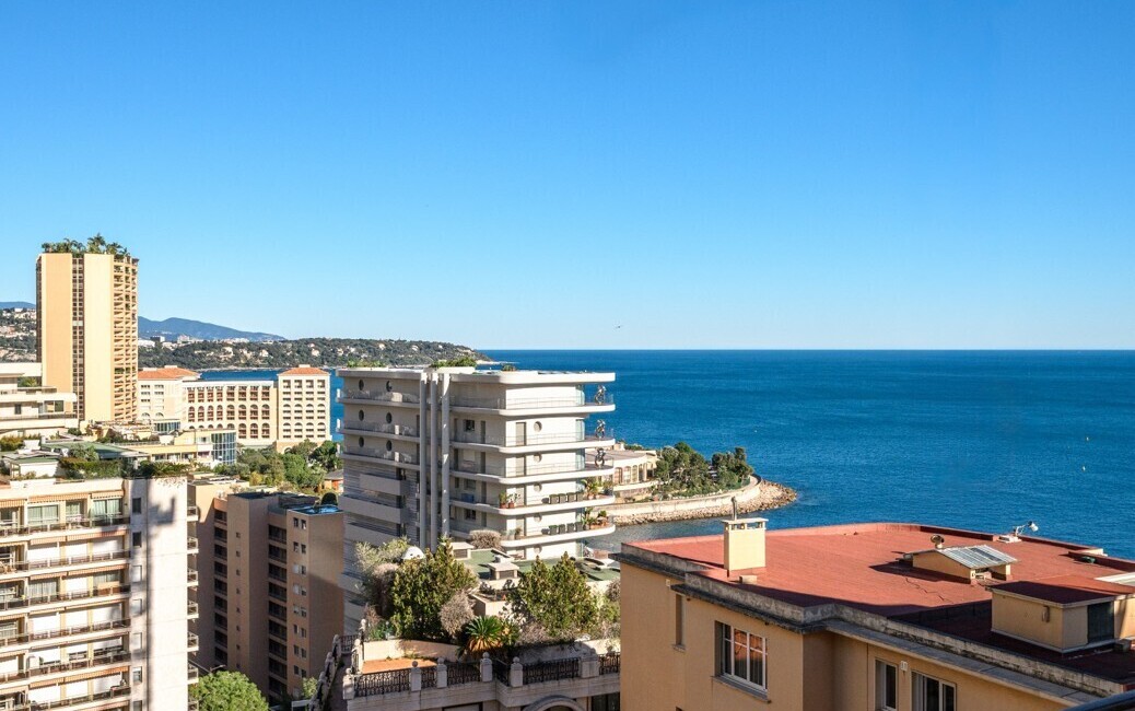 RADIEUSE – La Rousse – Elegant Furnished and Renovated One-Bedro, La Rousse - Saint Roman, Monaco - 1