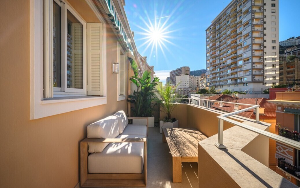 RADIEUSE – La Rousse – Elegant Furnished and Renovated One-Bedro, La Rousse - Saint Roman, Monaco - 11