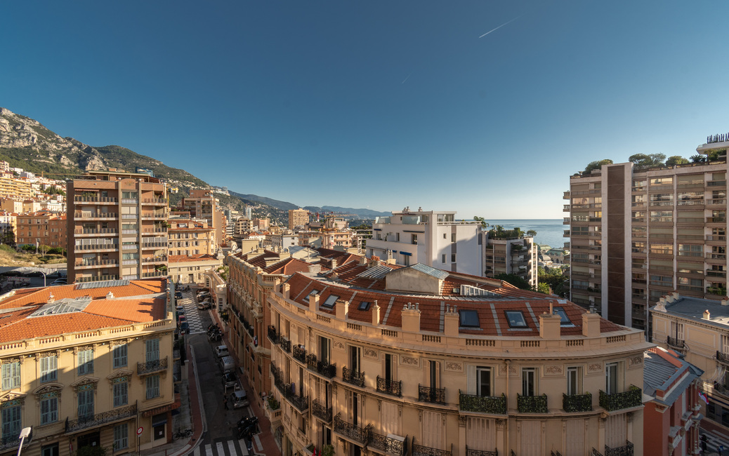 Monte Carlo - Buckingham Palace - 2-Room Apartment - 14